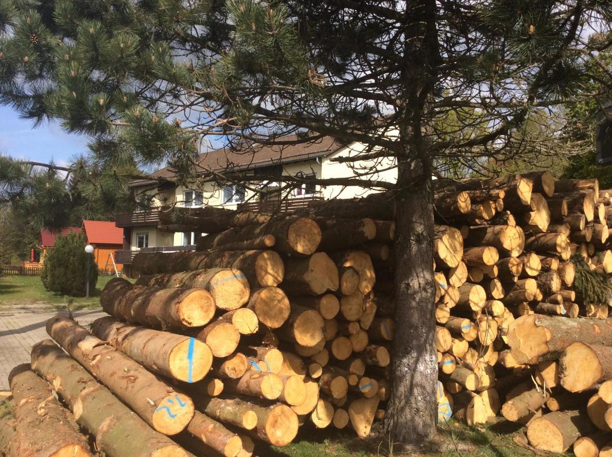 Ferienwohnung Harzblick 1 Braunlage Dış mekan fotoğraf