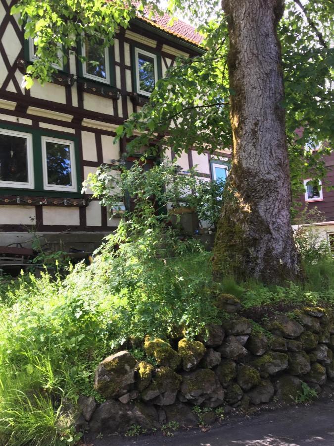 Ferienwohnung Harzblick 1 Braunlage Dış mekan fotoğraf