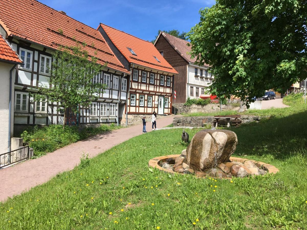Ferienwohnung Harzblick 1 Braunlage Dış mekan fotoğraf